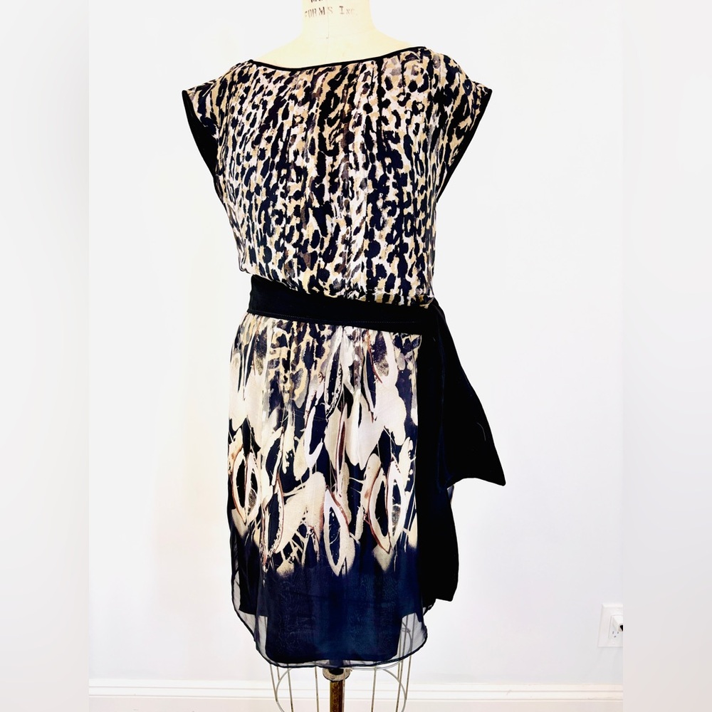 Zara Silk Animal print Tunic Dress